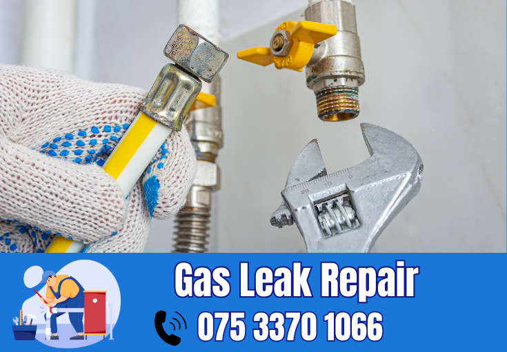 gas leak repair Staplehurst
