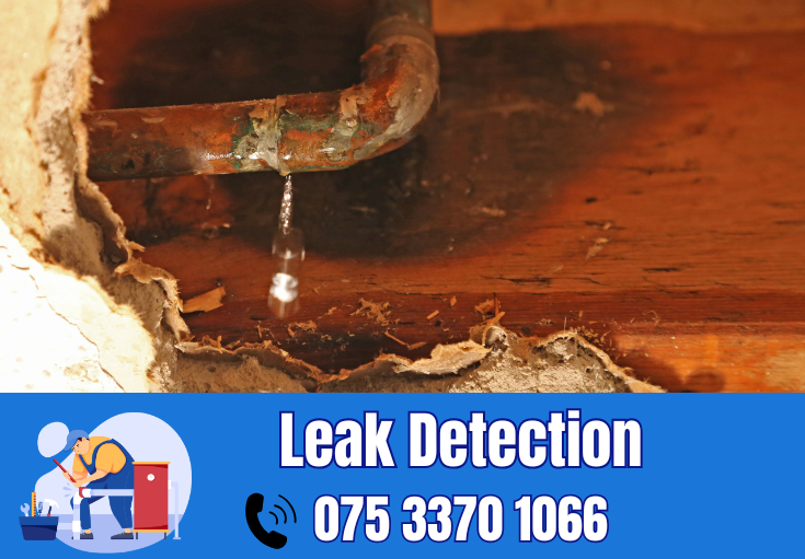 leak detection Staplehurst