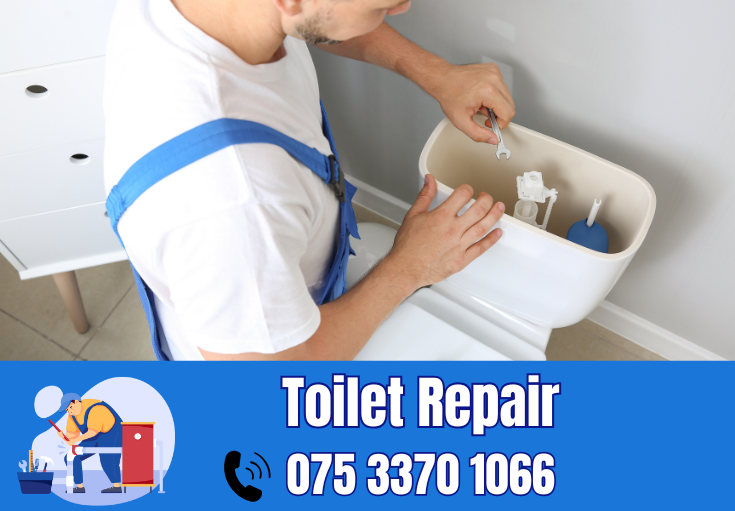 toilet repair Staplehurst